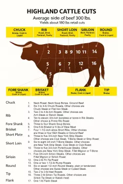 Highland Cattle Cuts