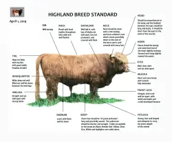 Male Breed Standard