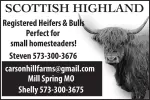 Carson Hill Farms