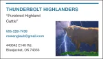 Thunderbolt Highlanders